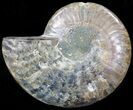 Agatized Ammonite Fossil (Half) #39613-1